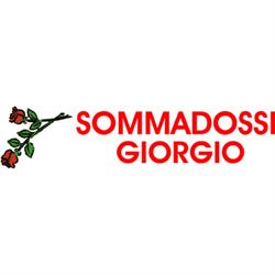Giardinaggio Sommadossi Giorgio
