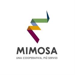 Mimosa