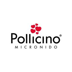 Asilo Nido Pollicino Minimondo S.n.c di Malcontenti & Clerico Asilo Nido
