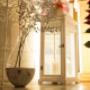 Gallery Professionale