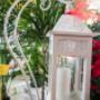 Gallery Professionale