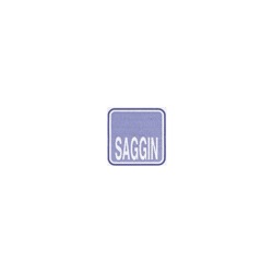 Giampietro Saggin