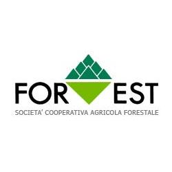 Forest S.C.A.F.