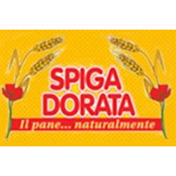 Spiga Dorata Srl