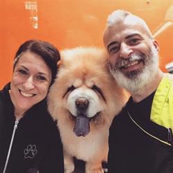 A Casa di Luly Franzolini Simone Toelettatura Cani e Gatti