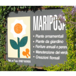 Mariposa