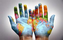 Viaggi Marche Srl