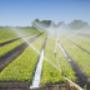 Agricoltura