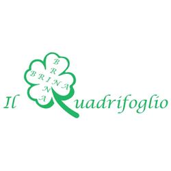 Brina - Il Quadrifoglio