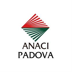 Anaci Pdova