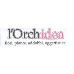 L'Orchidea