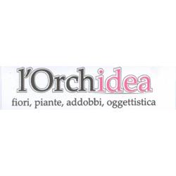 L'Orchidea