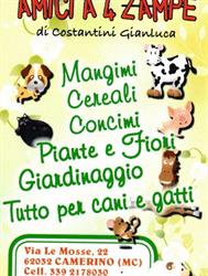 Amici a 4 Zampe di Costantini Gianluca