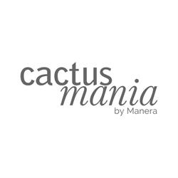 Cactusmania By Manera di Manera Annarita