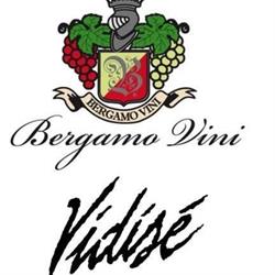 Agriturismo Vidise'