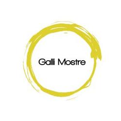 Galli Allestimenti
