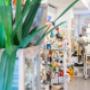 Gallery Professionale
