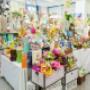 Gallery Professionale