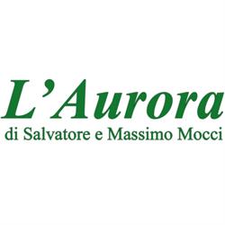 Agenzia Funebre Aurora