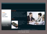 Sito di Gaudenzi Dott.Ssa Michela Ceda Consulting S.r.l Consulenza Aziendale Tributaria