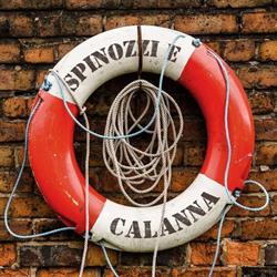 Spinozzi & Calanna - Avvocati in Network