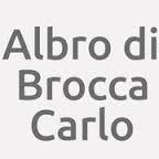 Albro di Brocca Carlo