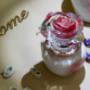 Gallery Professionale
