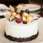 Torta Dolce Idea