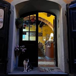 Antica Casa dei Rassicurati Diario di Borgo S.a.s di Bellini Gabriele & C.