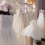 Gallery Professionale