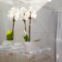 Camere con Vasca
