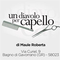 Un Diavolo Per Capello Di Maule Roberta
