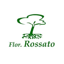 Floricoltura Rossato Paolo - Manutenzione Giardini Vivaio Serre