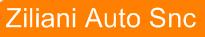 Ziliani Auto Centro Revisioni Auto - Pneumatici