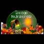 Consulenza Nutrizionale