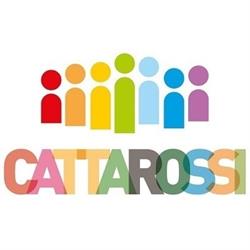 Mons. Domenico Cattarossi