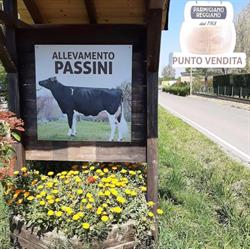 Società agricola passini