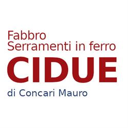 Cidue  Concari Mauro