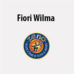 Fiori Wilma