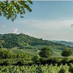 Vini La Parrocchiale F.lli Beltrami