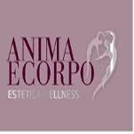 Estetica Anima E Corpo