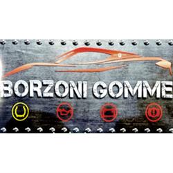 Msa Borzoni Gomme
