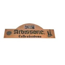 Ardissone Collezionismo Numismatica
