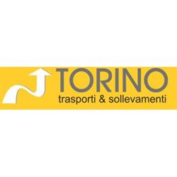 Torino Trasporti srl