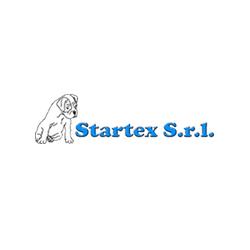 Startex abbigliamento