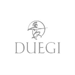 Duegi srl