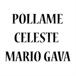 Pollame Celeste Mario Gava
