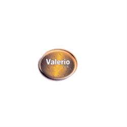 Centro Assistenza Valerio
