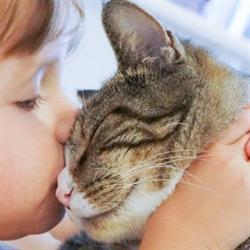 Clinica Veterinaria Sant'andrea S.n.c Di Simone Benenati e Katty Casazza