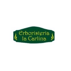 Erboristeria La Carlina